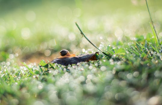 The Unrushed Awakening: Rethinking Your Morning Momentum