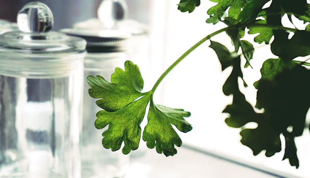 Master the Art of How to Add More Natural Light to Your Home: Expert Strategies for Brighter Living